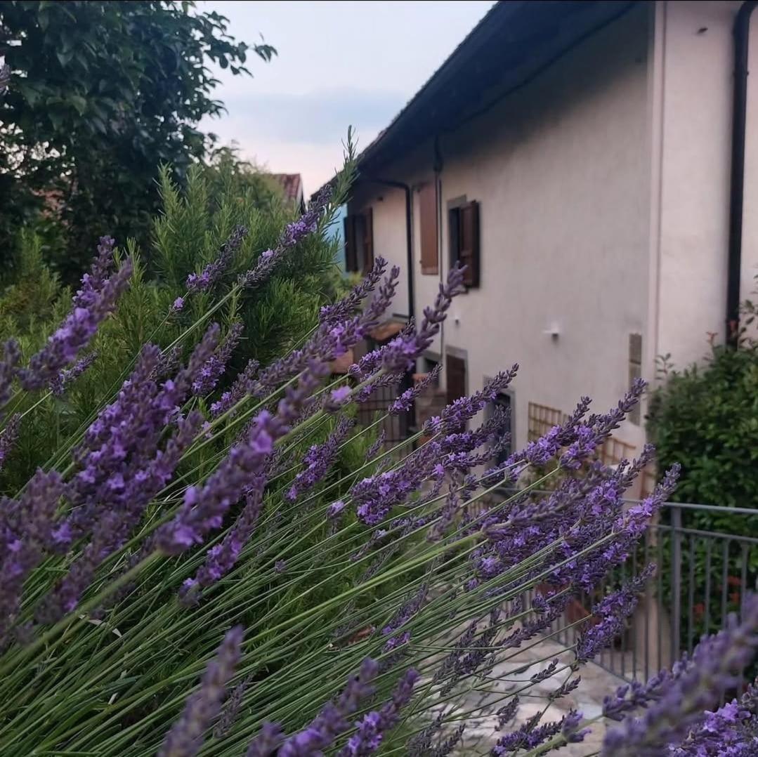 贝尔加莫Il Giardino Di Berbech Citta Alta - Castagno公寓 外观 照片